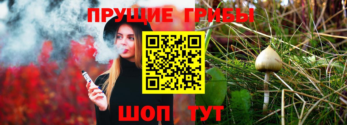 Знаменск  Галлюциногенные грибы мухоморы  Вход с VPN  где продают наркотики  Галлюциногенные грибы мухоморы 